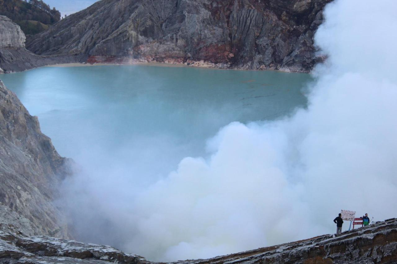 Hostel Backpacker Kawah Ijen Banyuwangi  Exterior foto